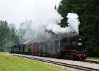 2020.07.19 JHMD U46.101 Jindřichův Hradec - Nová Bystřice (22)